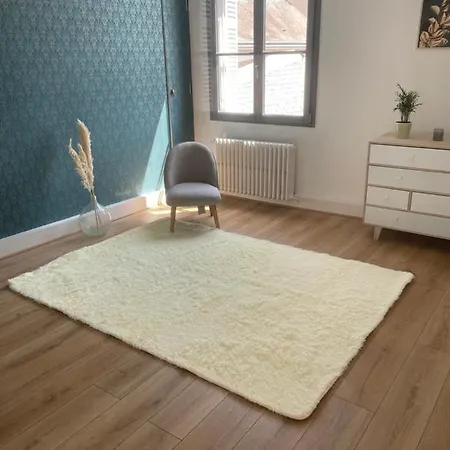 Superbe Particulier Tourangeau Apartment Tours